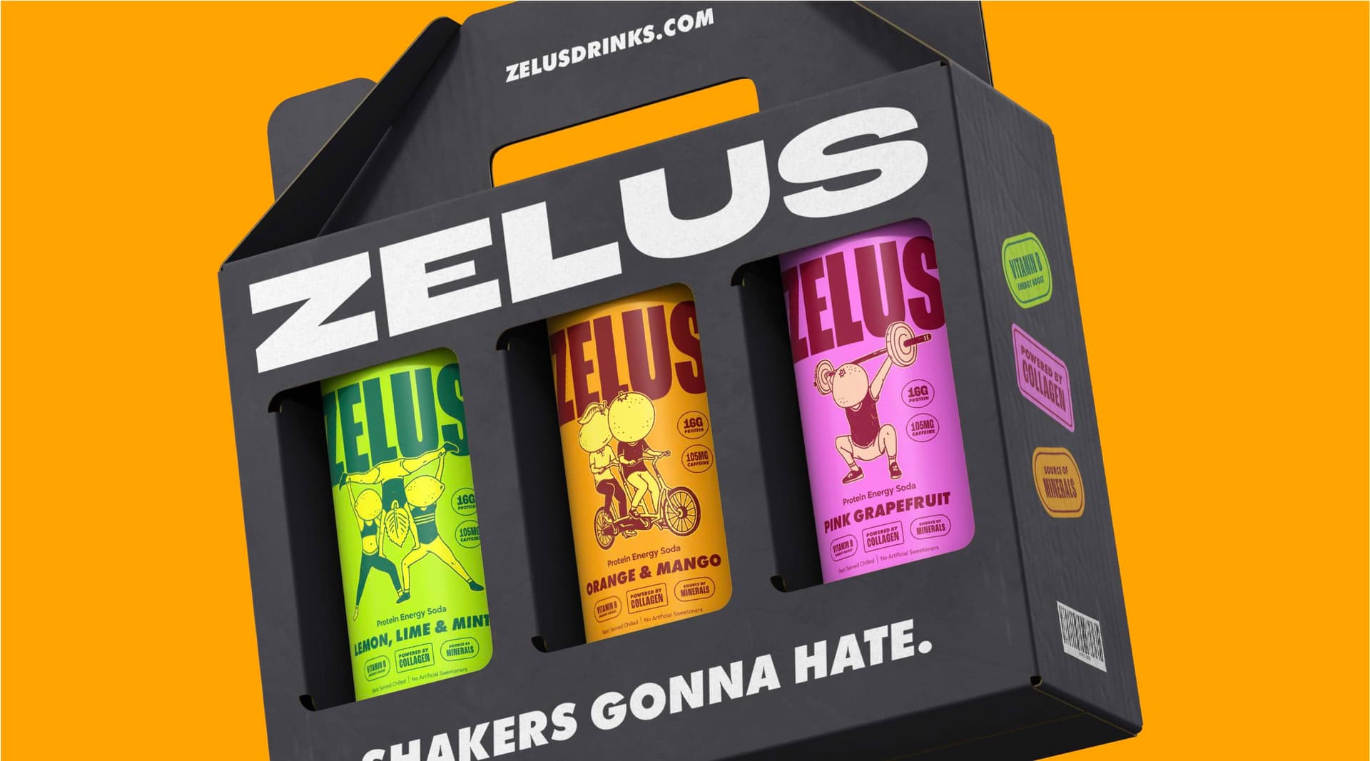 Zelus Brand Evolution
