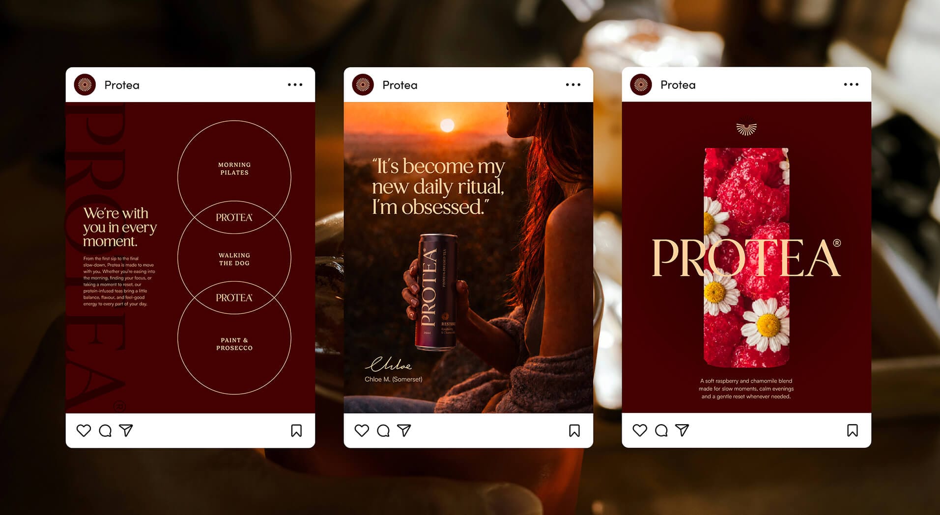 Protea Instagram social media post design by On Poynt Creative